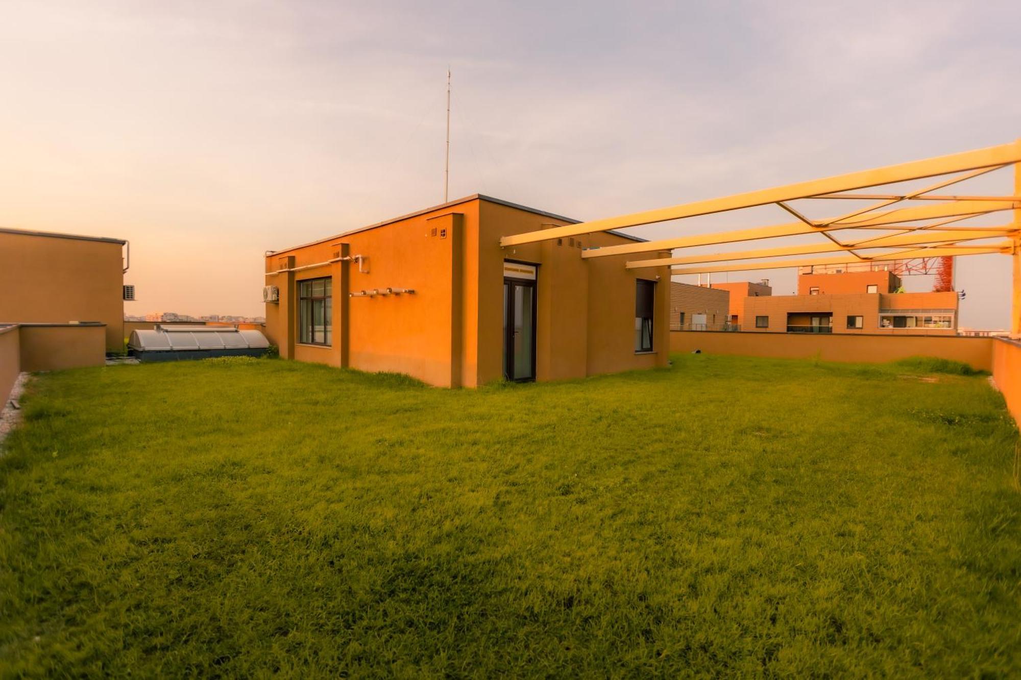 Sunset Apartment - Central Apt With Rooftop Garden Bukarest Exteriör bild